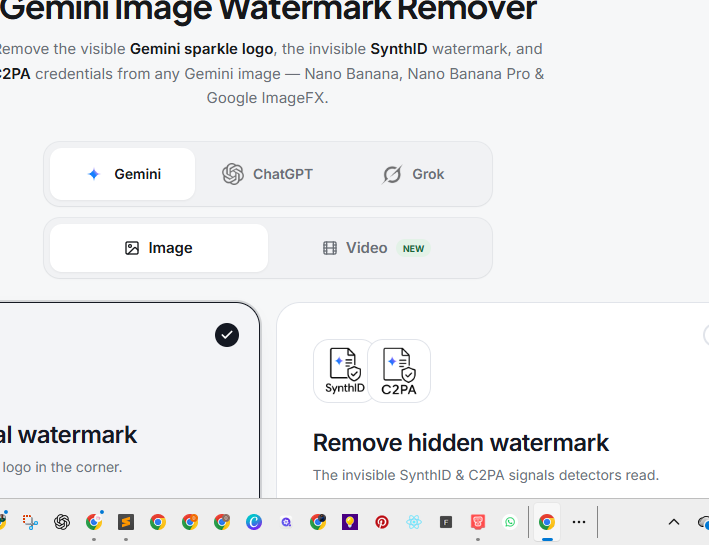 GPTWATERMARKER screenshot